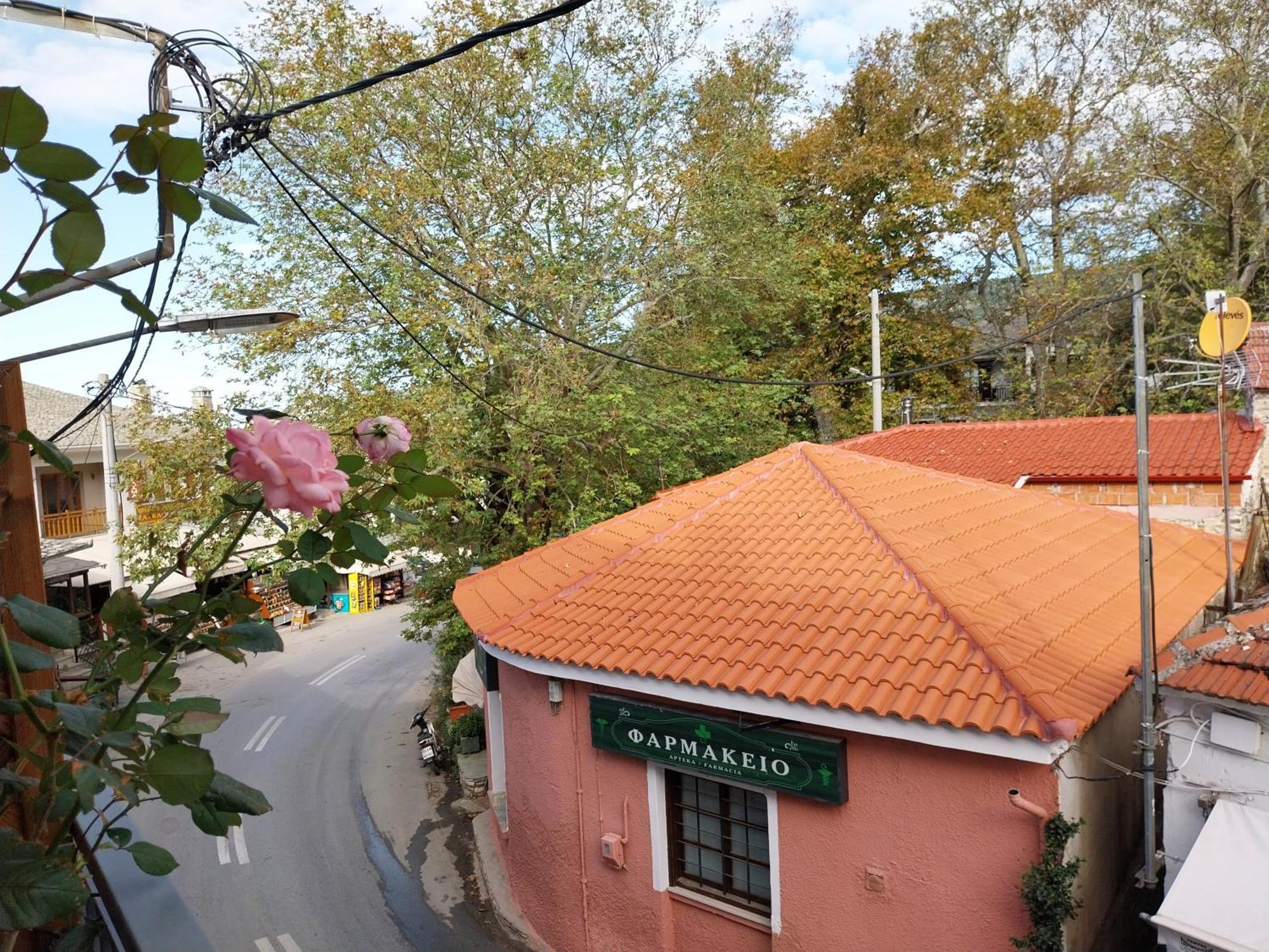 Marousos Central Guesthouse Portariá Esterno foto